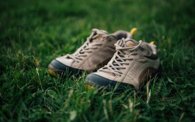 De juiste wandelschoenen voor een wandeltocht rondom Roden vind je zo