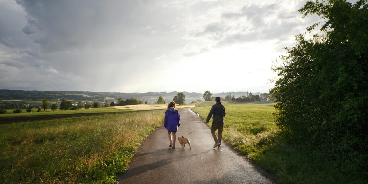 De mooiste wandelroutes in Roden en omgeving