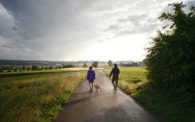 De mooiste wandelroutes in Roden en omgeving