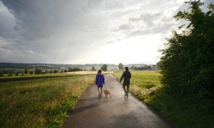 De mooiste wandelroutes in Roden en omgeving
